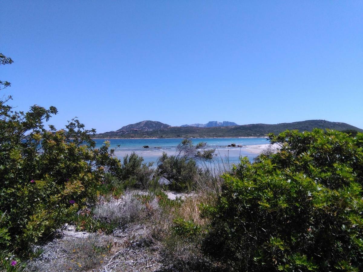 Residenza Le Maree Lägenhet Murta Maria Exteriör bild