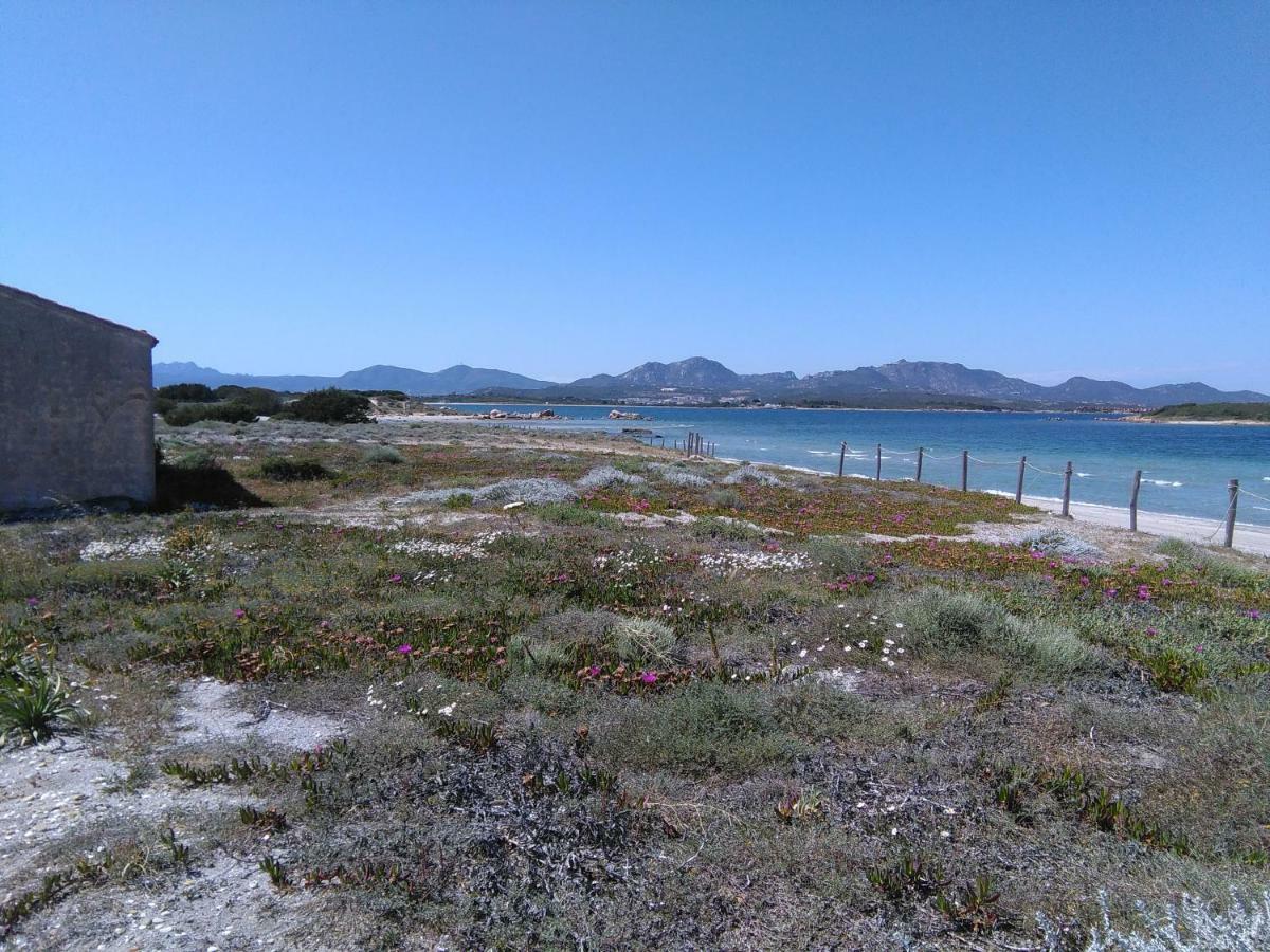 Residenza Le Maree Lägenhet Murta Maria Exteriör bild