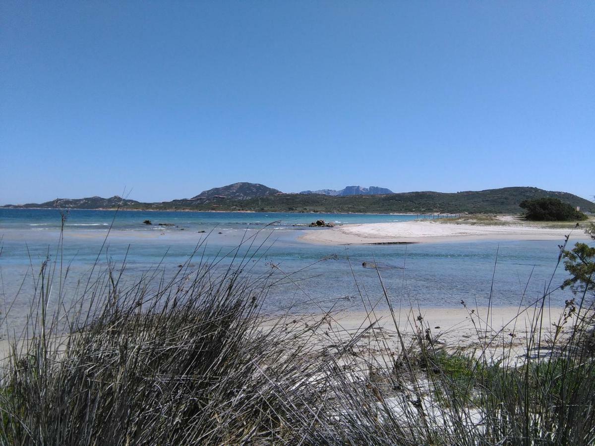 Residenza Le Maree Lägenhet Murta Maria Exteriör bild