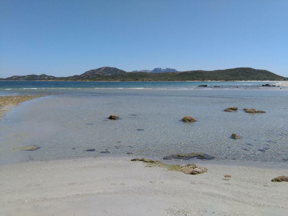 Residenza Le Maree Lägenhet Murta Maria Exteriör bild