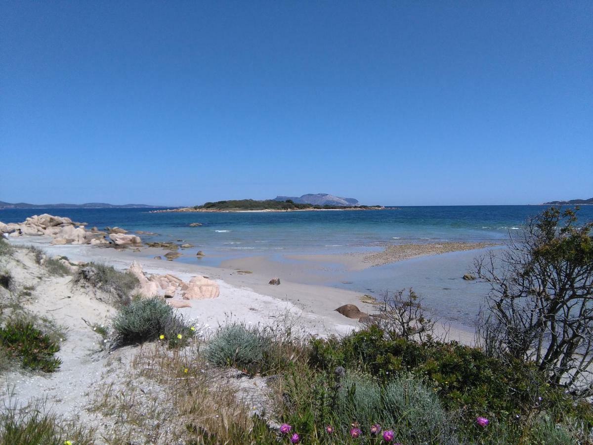 Residenza Le Maree Lägenhet Murta Maria Exteriör bild