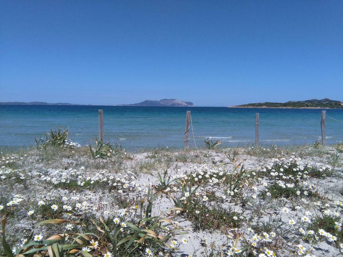 Residenza Le Maree Lägenhet Murta Maria Exteriör bild
