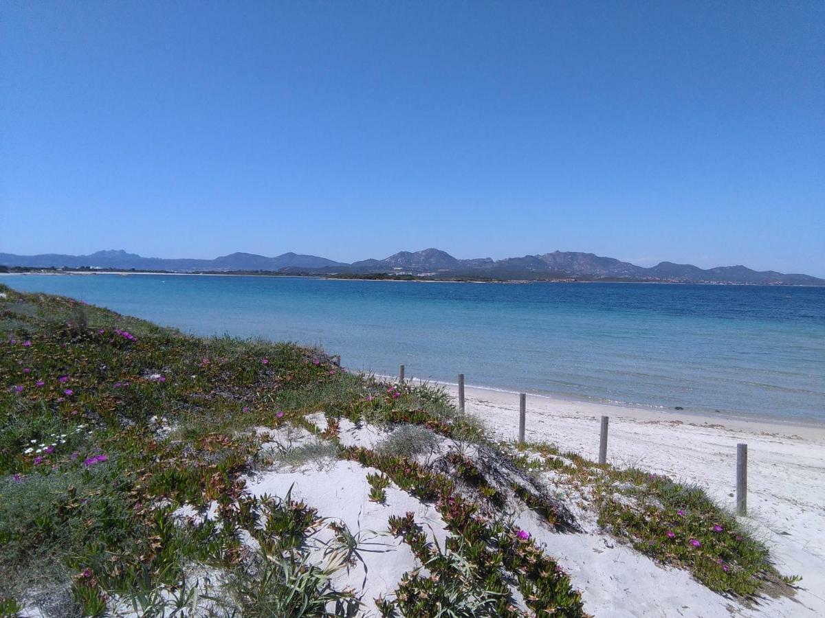 Residenza Le Maree Lägenhet Murta Maria Exteriör bild