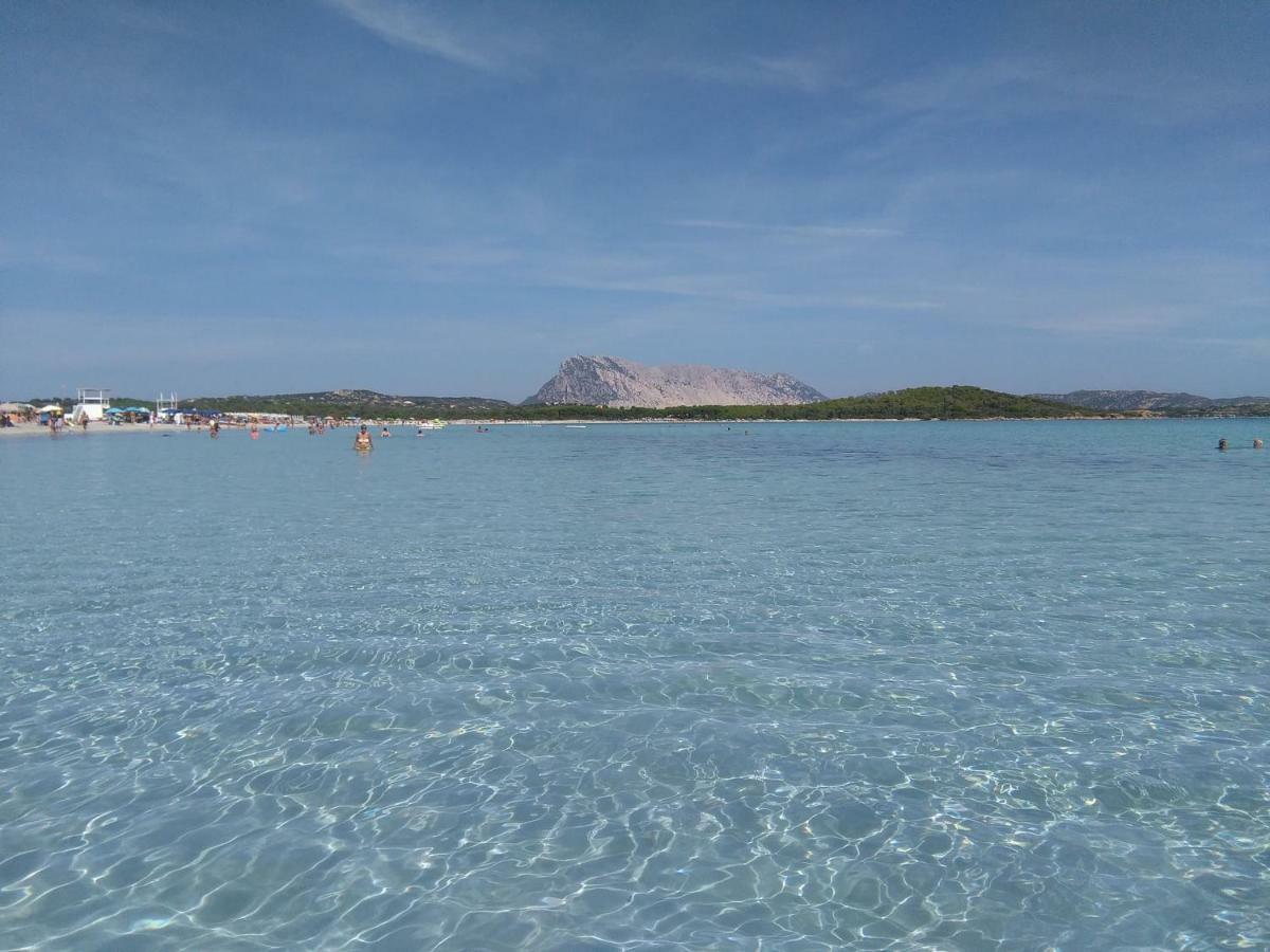 Residenza Le Maree Lägenhet Murta Maria Exteriör bild